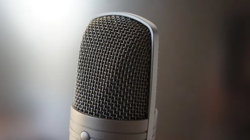 Who Should Voice Your Favorite Character? The Casting Debate Splitting the Dub Community